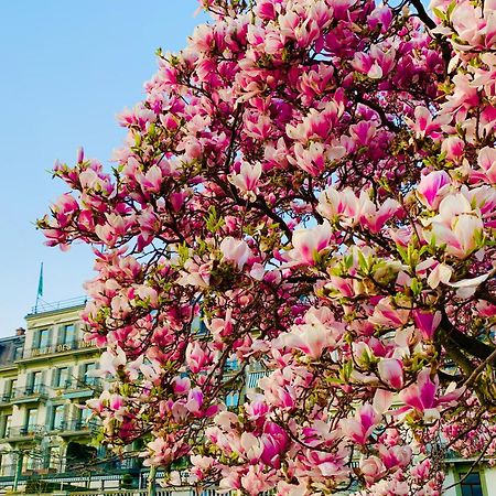 Hotel Des Trois Couronnes & Spa - The Leading Hotels Of The World Βεβέ Εξωτερικό φωτογραφία