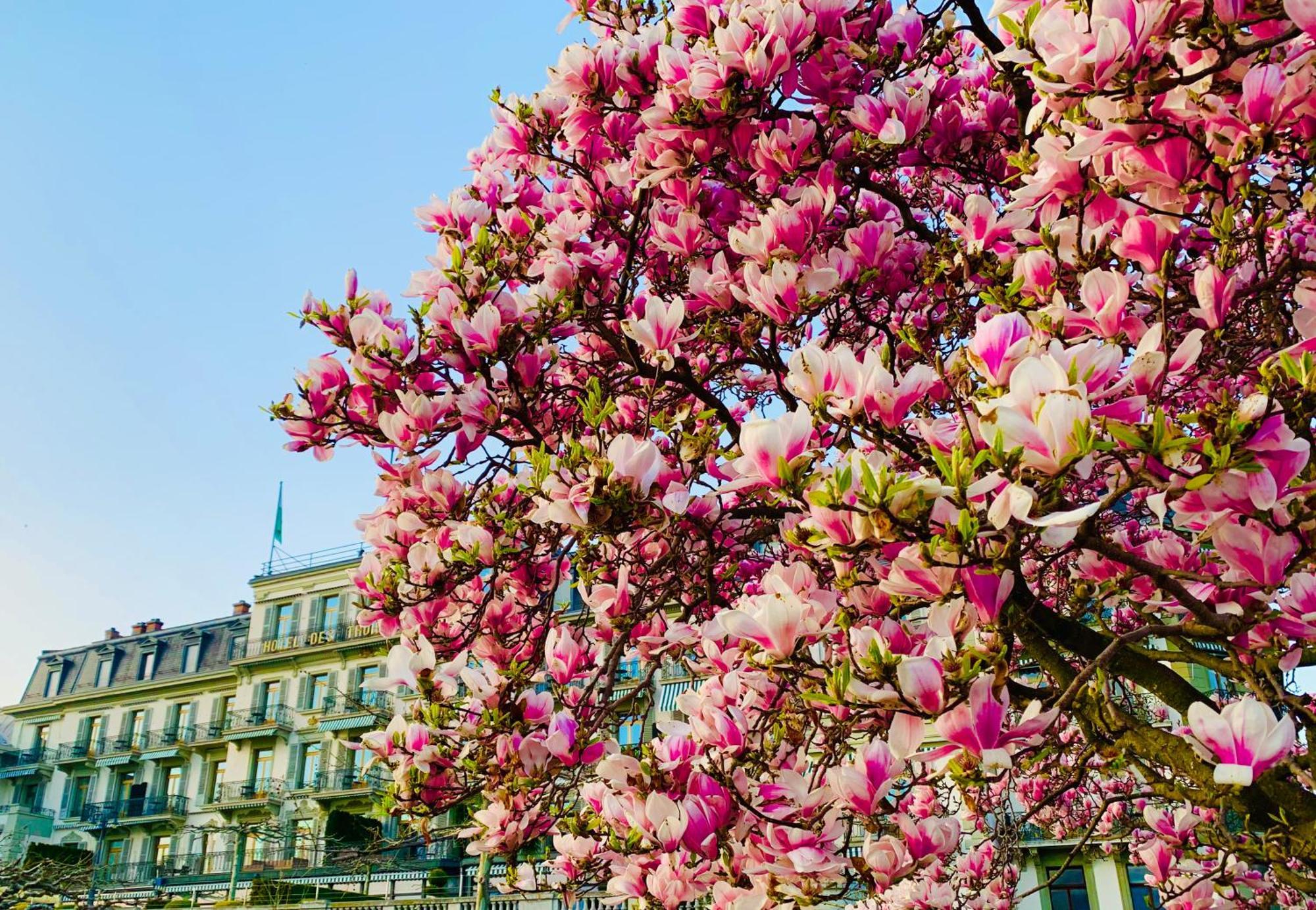 Hotel Des Trois Couronnes & Spa - The Leading Hotels Of The World Βεβέ Εξωτερικό φωτογραφία